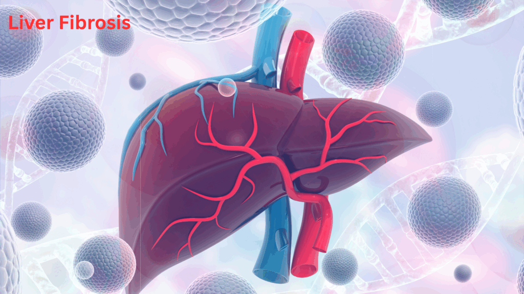 3D medical illustration of a liver with highlighted blood vessels, surrounded by abstract DNA strands and spherical cells, representing liver fibrosis. The text “Liver Fibrosis” is displayed in red at the top left.